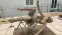 Экскурсия в ГЛАВНЫЙ ШТАБ ЭРМИТАЖА Экскурсия в ГЛАВНЫЙ ШТАБ ЭРМИТАЖА