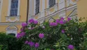Собор Владимирской иконы Богоматери