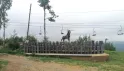 Путешествие в горнозаводскую цивилизацию Прикамья