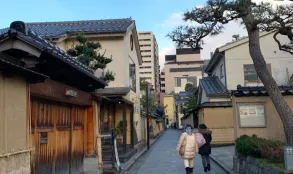 Япония с Востока на Запад (Токио-Осака) Япония с Востока на Запад (Токио-Осака)