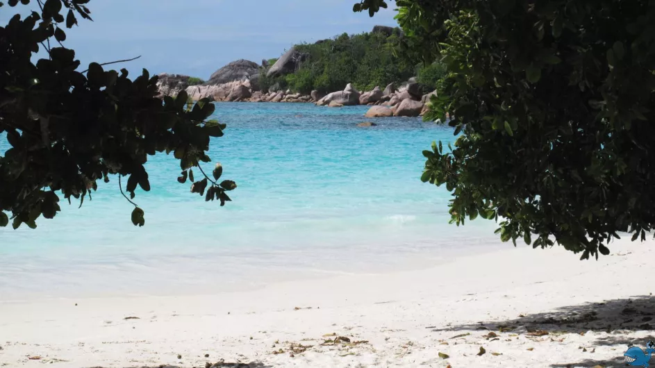 Цены на размещение в отелях острова Праслен (Praslin)