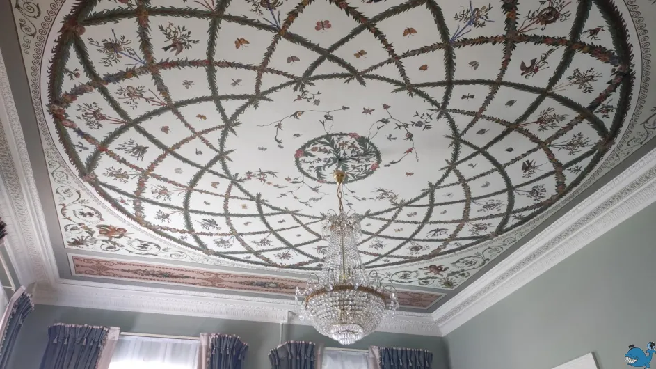 Особняк графини Н. Ф. Карловой