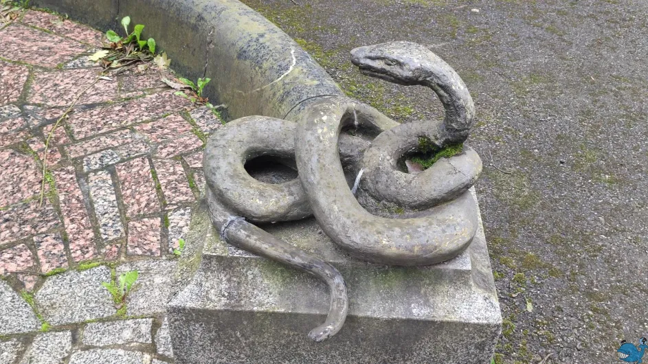 Парк и библиотека усадьбы Института экспериментальной медицины Парк и библиотека усадьбы Института экспериментальной медицины