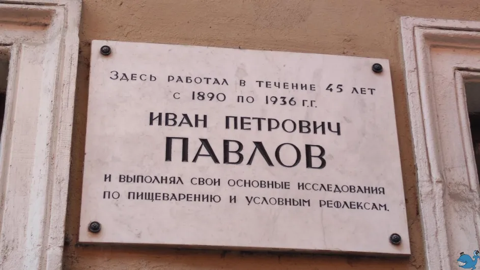 Парк и библиотека усадьбы Института экспериментальной медицины Парк и библиотека усадьбы Института экспериментальной медицины