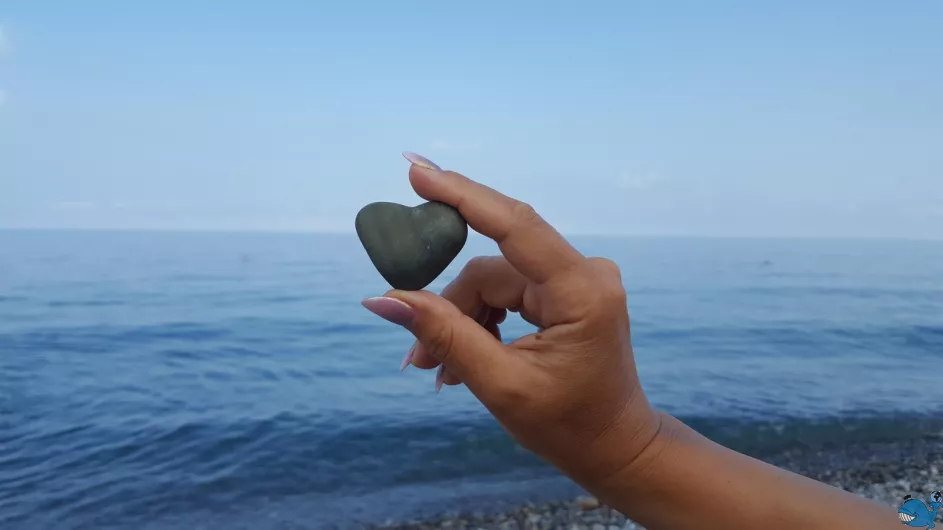 Батумский экспресс