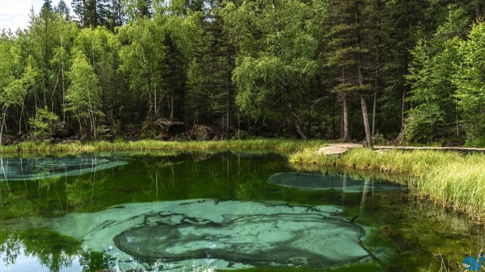 Многоликий Алтай