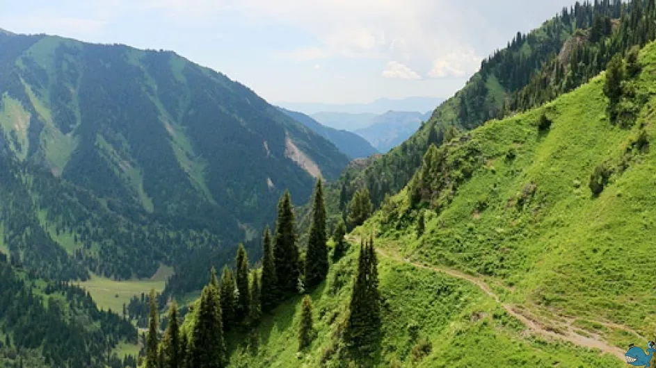 Путешествие к озеру Сары-Челек