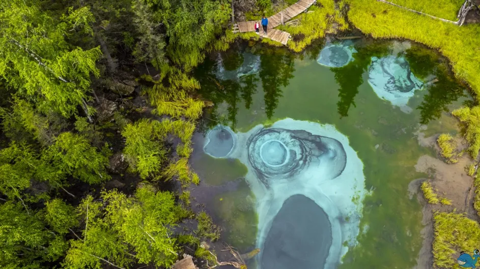 Калейдоскоп Алтая