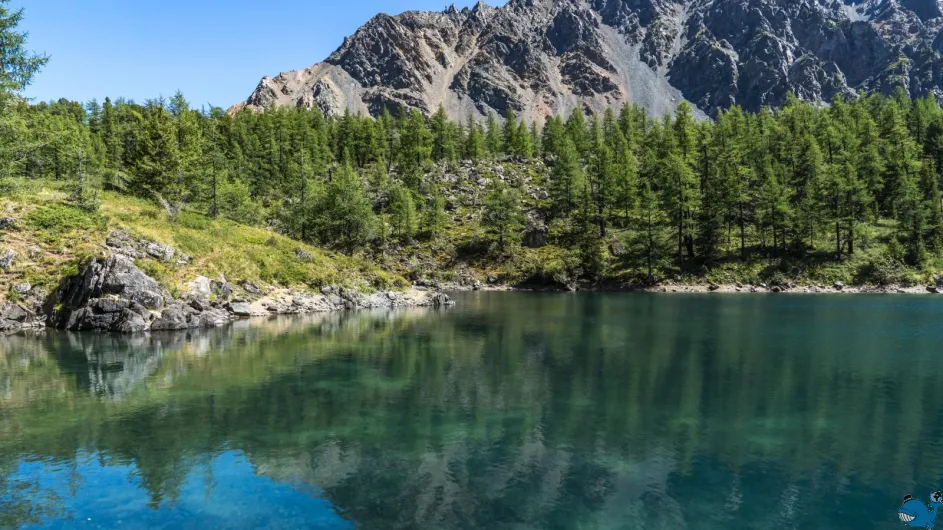 Неизвестный Алтай