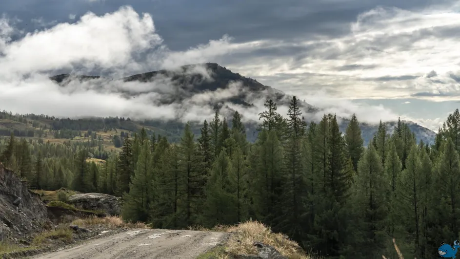 Неизвестный Алтай