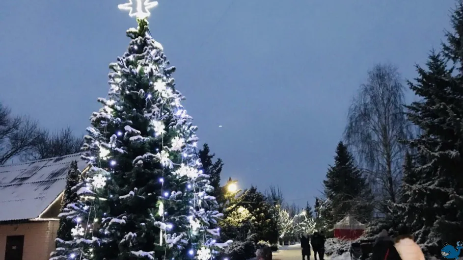 Новогоднее путешествие в Минск