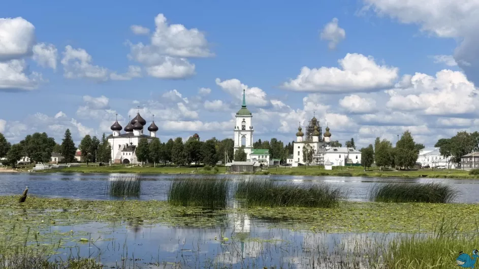 Большое путешествие по Архангельской области