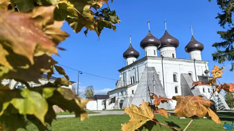 Большое путешествие по Архангельской области