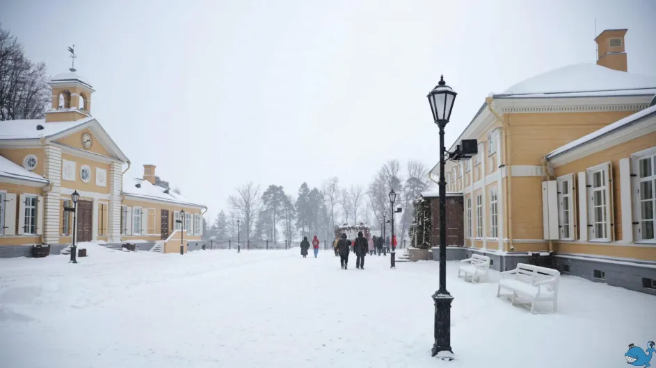 Экскурсия в Выборг по Королевской дороге (зима)
