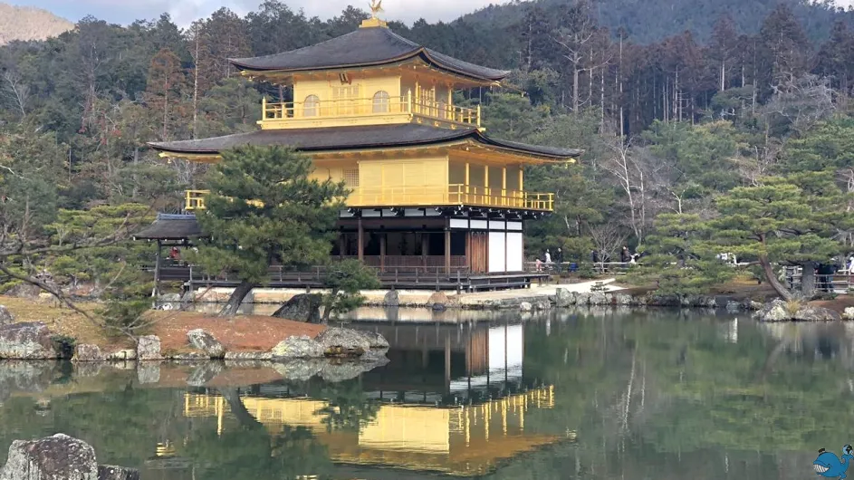 Япония с Востока на Запад (Токио/Осака) зима