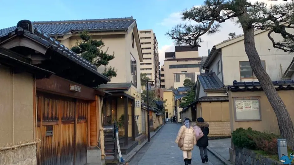 Япония с Востока на Запад (Токио-Осака)