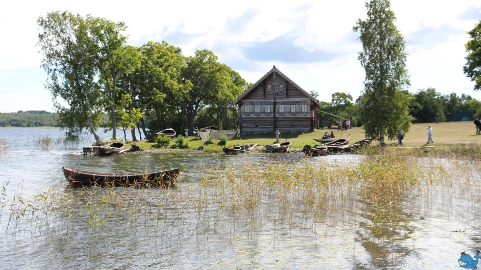 Карельская одиссея