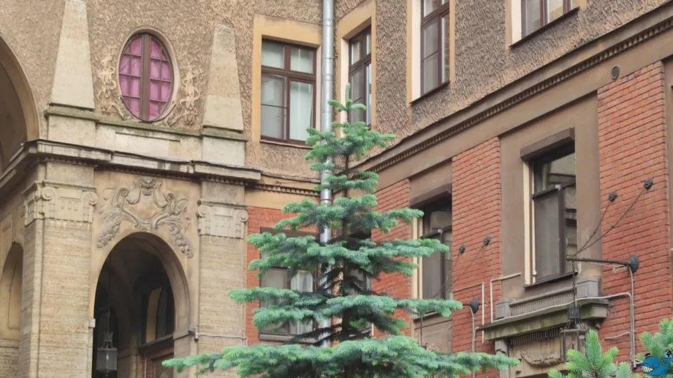 Толстовский дом