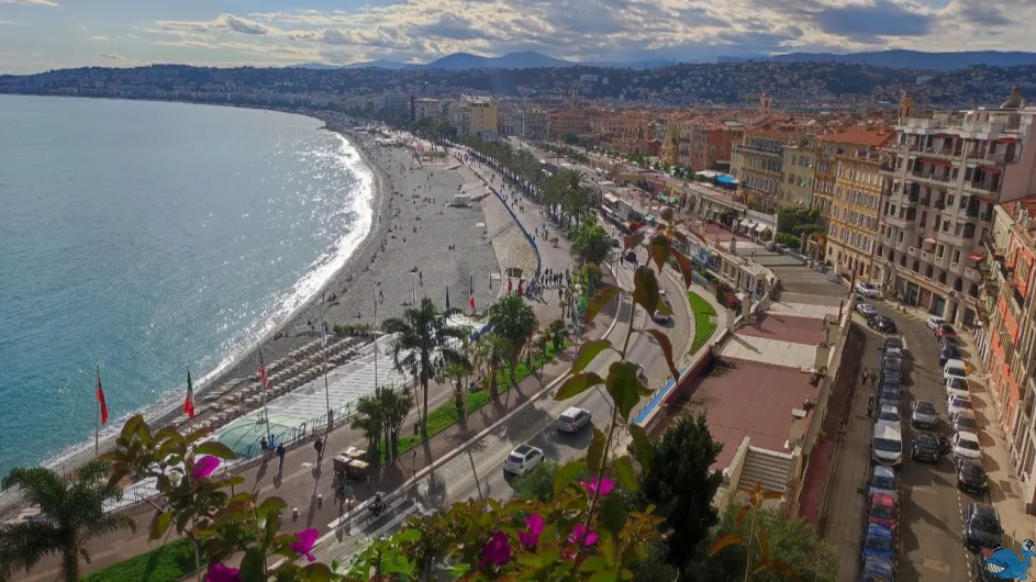 Фестиваль лимонов в Ментоне и карнавал в Ницце