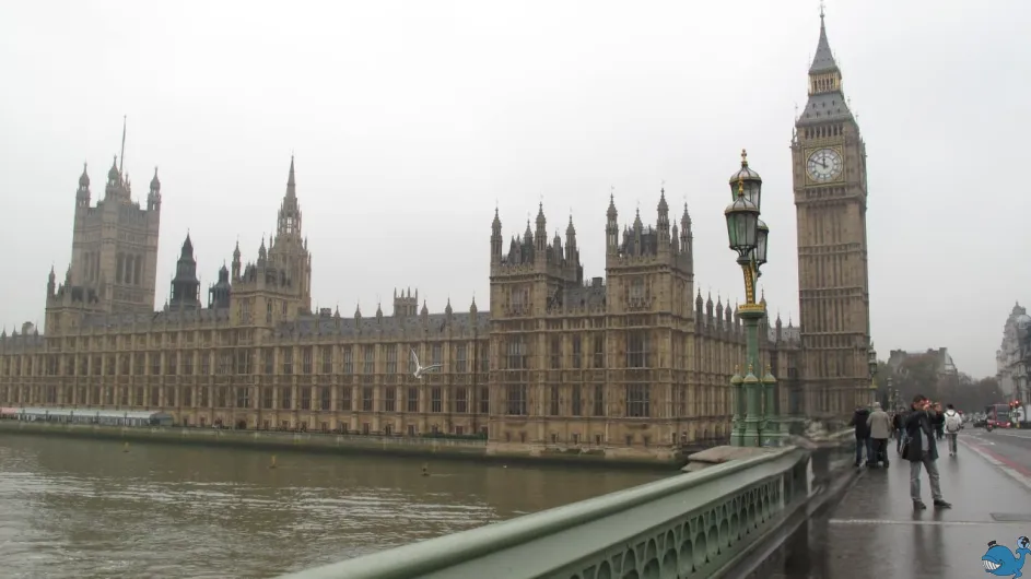 Англия - Шотландия