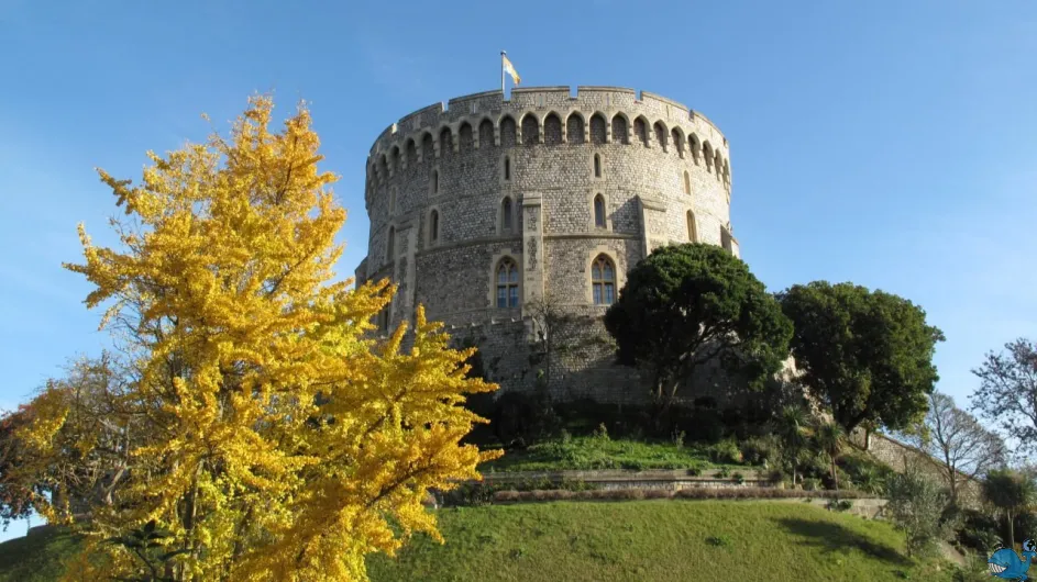 Англия - Шотландия - Уэльс