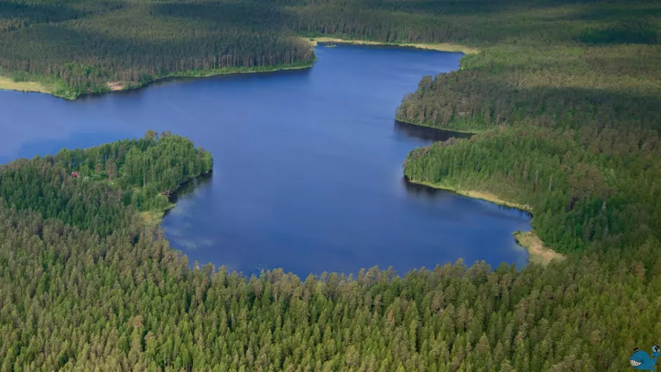 Экологическая экскурсия в заказник “Щучье озеро” 