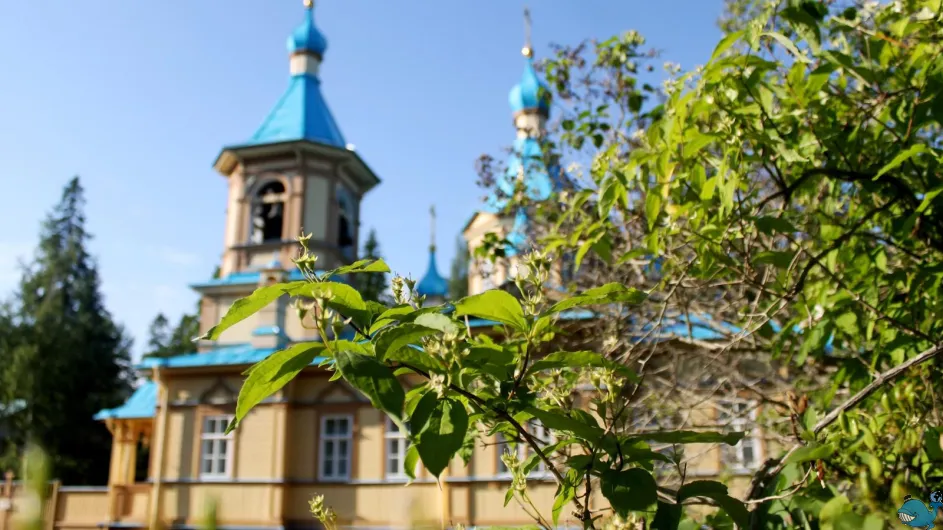 Карелия - полное погружение Карелия - полное погружение