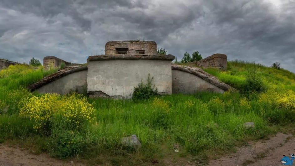 Экологическая экскурсия в заказник &quot;Западный Котлин&quot;