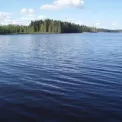 Коттедж № 1265